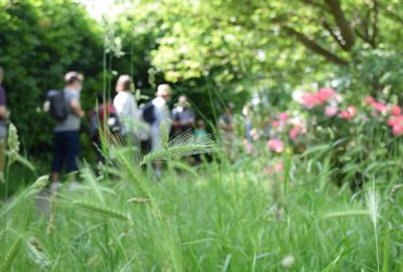 RANDONNÉE MILLE PATTES DANS LA VILLE ET LE PARC - 12 JUIN 2021